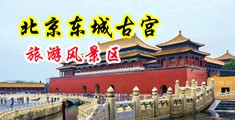 好爽好想要av中国北京-东城古宫旅游风景区